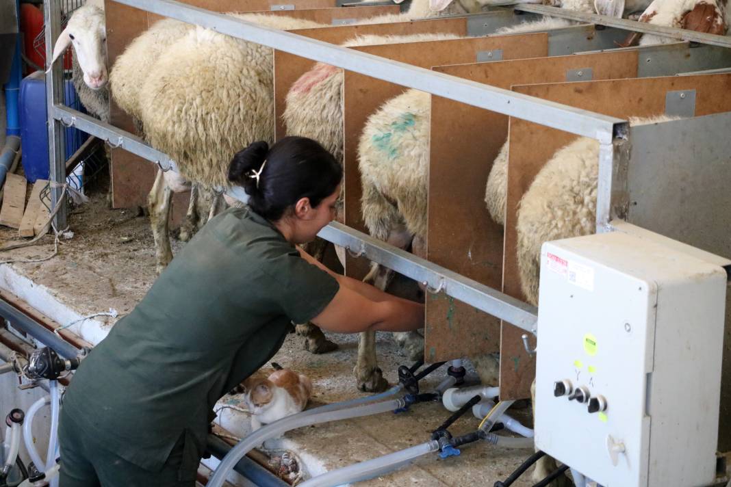 Konya'da hayalini kurdu, kendi işinin patronu oldu 1
